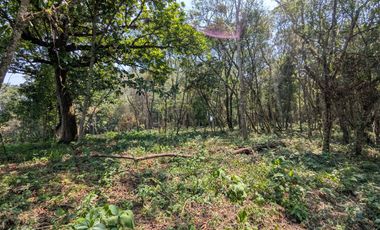 Venta de terreno rústico en San Andrés Tlalnelhuayocan