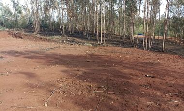 Vendo Pacela Copiulemu Florida $25.000.000