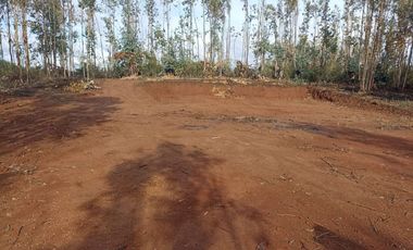 Vendo Pacela Copiulemu Florida $25.000.000