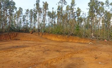 Vendo Pacela Copiulemu Florida $25.000.000