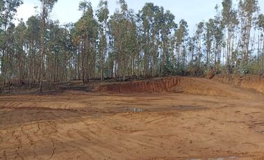 Vendo Pacela Copiulemu Florida $25.000.000
