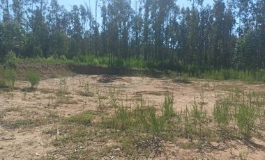 Vendo Pacela Copiulemu Florida $25.000.000