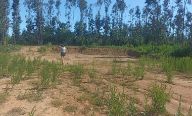 Vendo Pacela Copiulemu Florida $25.000.000