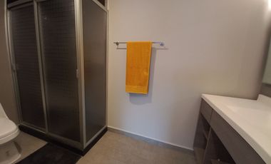 Departamento en Renta en Nuevo Sur