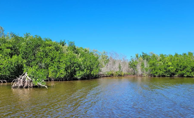 CASA EN RECUPERACIÓN BANCARIA EN C19 No. 330 TIZIMÍN CENTRO, YUCATÁN.