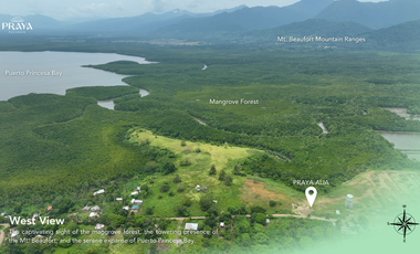 Luxury Condominium in Puerto Princessa Palawan