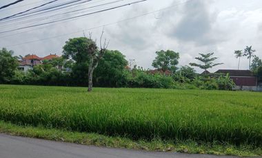 ONE BEDROOM VILLA IN A PEACEFUL AREA BETWEEN BATUBULAN - CELUK & SINGAPADU AREA