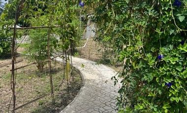 Ocean View Modern Far House for Sale ID 14999