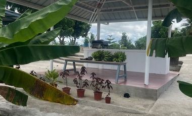 Ocean View Modern Far House for Sale ID 14999