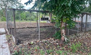 Ocean View Modern Far House for Sale ID 14999