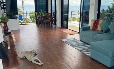 Ocean View Modern Far House for Sale ID 14999
