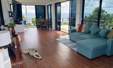 Ocean View Modern Far House for Sale ID 14999