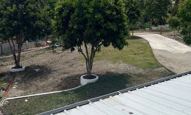 Ocean View Modern Far House for Sale ID 14999