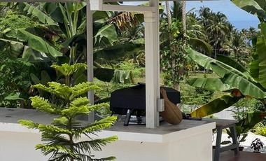 Ocean View Modern Far House for Sale ID 14999