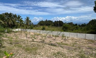 Ocean View Modern Far House for Sale ID 14999