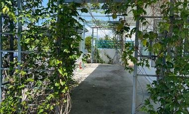 Ocean View Modern Far House for Sale ID 14999