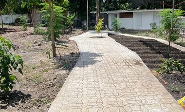 Ocean View Modern Far House for Sale ID 14999