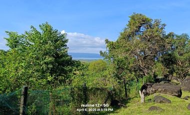 Embrace Highland Majesty! (Urgent Sale)