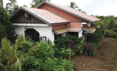 KUBO SA NAYON VACATION FARM RESORT IN ANULING LEJOS, MENDEZ FOR SALE