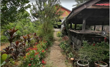 KUBO SA NAYON VACATION FARM RESORT IN ANULING LEJOS, MENDEZ FOR SALE
