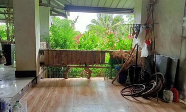 KUBO SA NAYON VACATION FARM RESORT IN ANULING LEJOS, MENDEZ FOR SALE