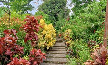 KUBO SA NAYON VACATION FARM RESORT IN ANULING LEJOS, MENDEZ FOR SALE