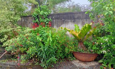 KUBO SA NAYON VACATION FARM RESORT IN ANULING LEJOS, MENDEZ FOR SALE