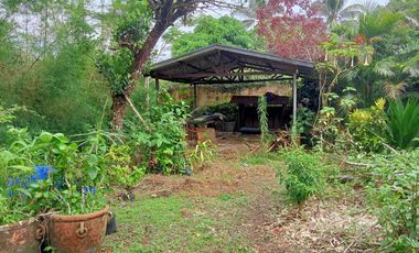 KUBO SA NAYON VACATION FARM RESORT IN ANULING LEJOS, MENDEZ FOR SALE