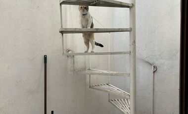 Casa en Venta en Jardines de la Paz, usada anteriormente como Panadería