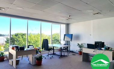 ¡Haz crecer tu negocio! Oficina Concepción: Espacios flexibles, luminosos y modernos