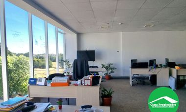 ¡Haz crecer tu negocio! Oficina Concepción: Espacios flexibles, luminosos y modernos