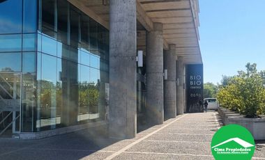 ¡Haz crecer tu negocio! Oficina Concepción: Espacios flexibles, luminosos y modernos