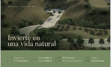 TERRENOS EN VENTA EN LAS CAÑADAS