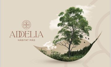 TERRENOS EN VENTA EN LAS CAÑADAS