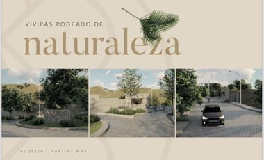 TERRENOS EN VENTA EN LAS CAÑADAS