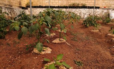 BONITA CASA EN NEPOPUALCO TOTOLAPAN ESTADO DE MORELOS
