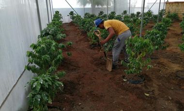 BONITA CASA EN NEPOPUALCO TOTOLAPAN ESTADO DE MORELOS