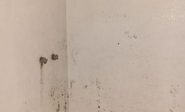 CASA DUPLEX PLANTA BAJA EN COACALCO