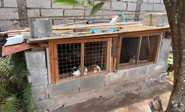 EN VENTA QUINTA EN GUAYLLABAMBA. EXCELENTE UBICACION