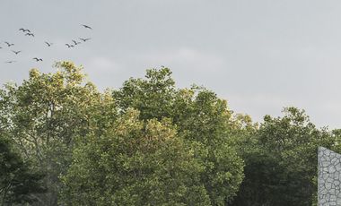 Venta de Terrenos de uso mixto en Tixkokob