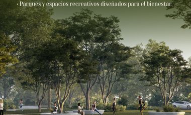 Venta de Terrenos de uso mixto en Tixkokob