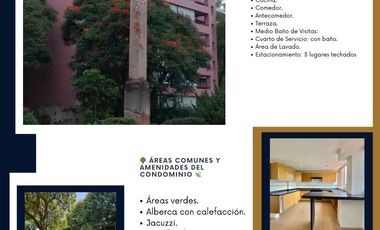 Penthouse Duplex Departamento Residencial Trapiche 1