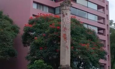 Penthouse Duplex Departamento Residencial Trapiche 1