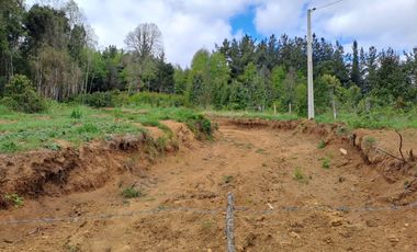 Se Vende Parcela 2,5 Hectáreas Alto Pedregoso Villarrica