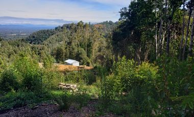 Se Vende Parcela 2,5 Hectáreas Alto Pedregoso Villarrica