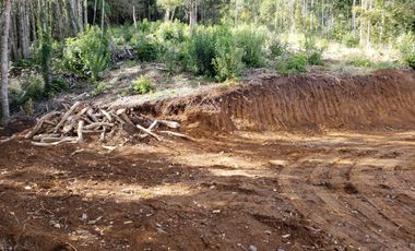 Se Vende Parcela 2,5 Hectáreas Alto Pedregoso Villarrica