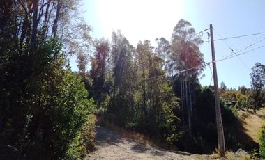 Se Vende Parcela 2,5 Hectáreas Alto Pedregoso Villarrica