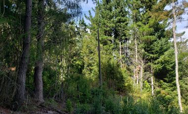 Se Vende Parcela 2,5 Hectáreas Alto Pedregoso Villarrica