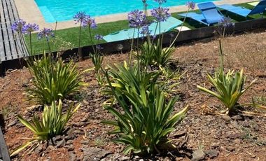 Venta o Arriendo Parcela con casa, quincho y piscina, sector San Nicolas, Florida