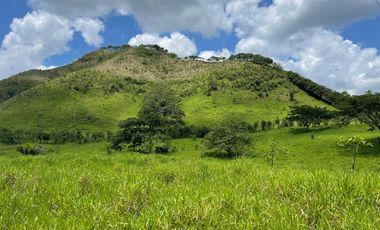 hacienda ganadera de venta en chone mongoya Y/T
